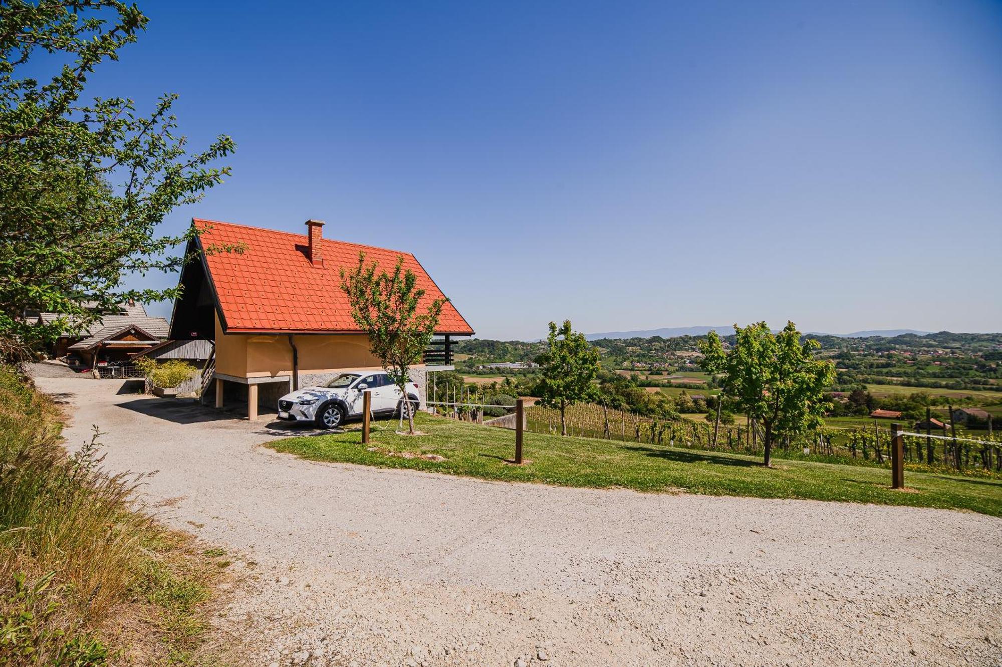 Holiday Home Vinea View - 4 Thermal Spas Nearby Bizeljsko Bagian luar foto