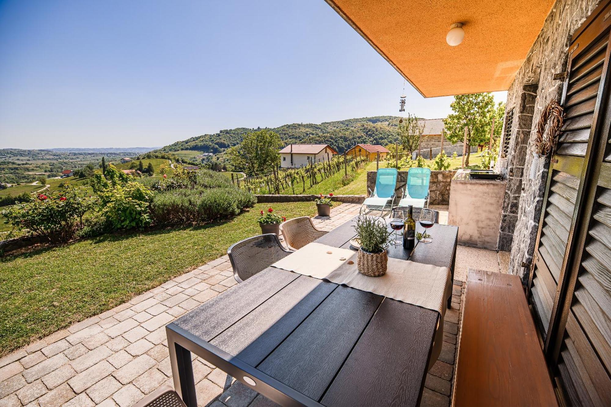 Holiday Home Vinea View - 4 Thermal Spas Nearby Bizeljsko Bagian luar foto