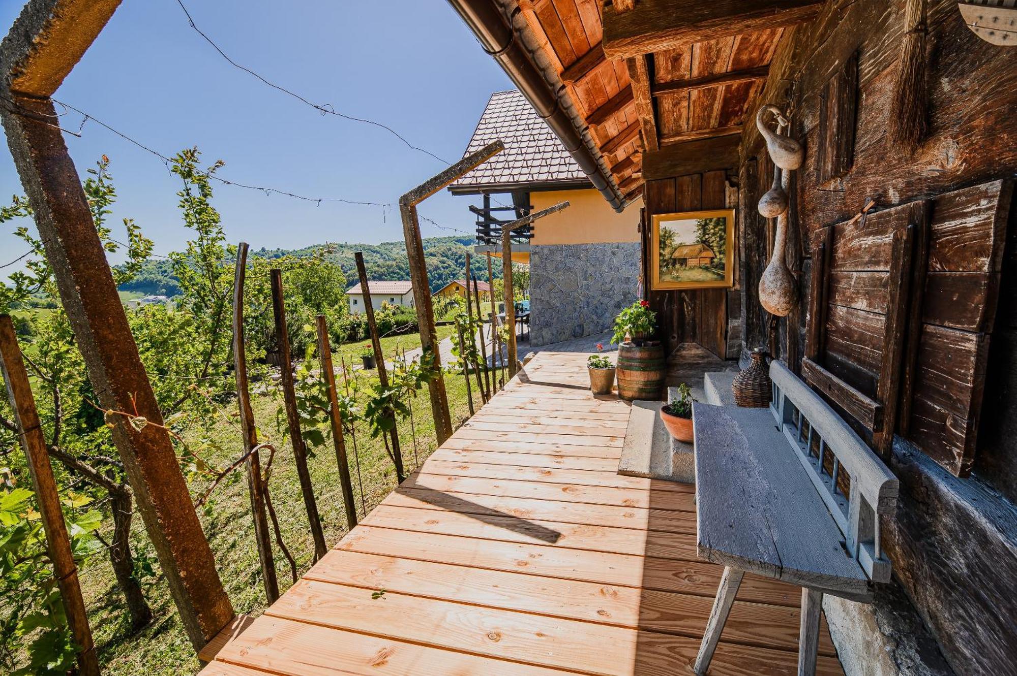 Holiday Home Vinea View - 4 Thermal Spas Nearby Bizeljsko Bagian luar foto