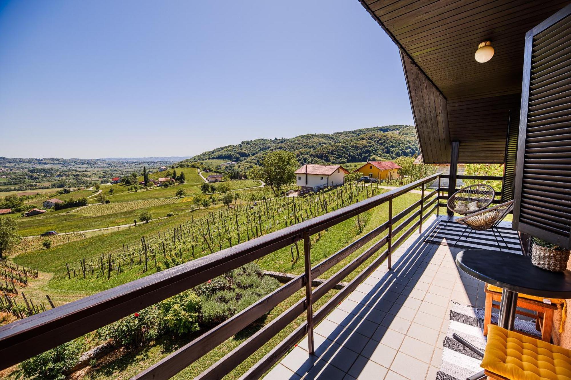 Holiday Home Vinea View - 4 Thermal Spas Nearby Bizeljsko Bagian luar foto